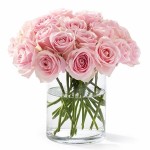 California Blooms roses