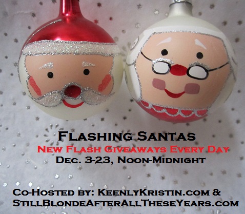 21-3 Flashing Santas Flashing Santas
