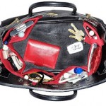 Joey Junior in purse