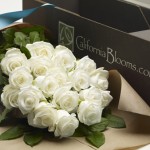 california Bloom Teal Ribbon roses