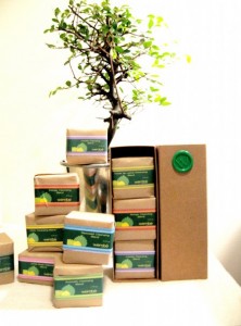 Wembe Soaps
