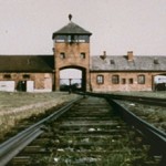 Auschwitz banner