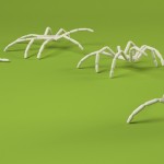 spiderpodium