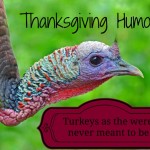Thanksgiving Humor