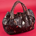 Fendi-Spy-Bag
