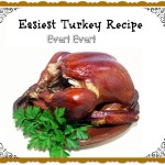 Easiest Turkey Recipe Ever ever