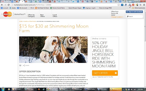 Mastercard Marketplace Horse back riding  Emmett Mi shimmering moon farm