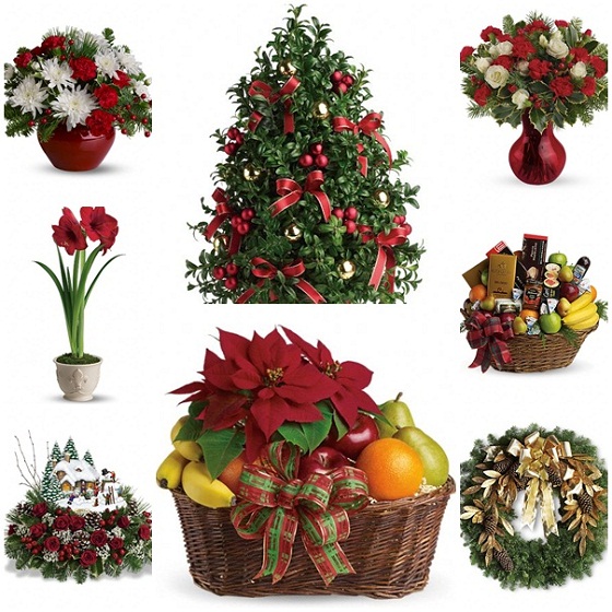 Teleflora Christmas 2012 floral selection Teleflora Christmas 2012 floral selection