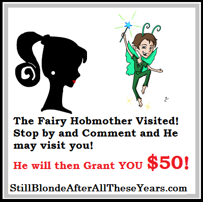 Fairy Hobmother