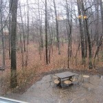 View from my Window