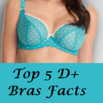 Top 5 D+ Bras Facts