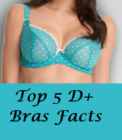 Top 5 D+ Bras Facts