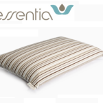 Essentia Classic Pillow Review