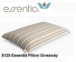Essentia Classic Pillow Review