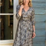 Winter Silks Dress