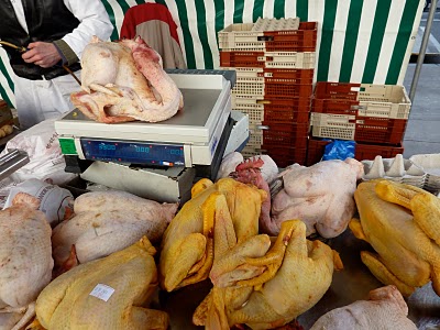 10 Thanksgiving Turkey alternatives