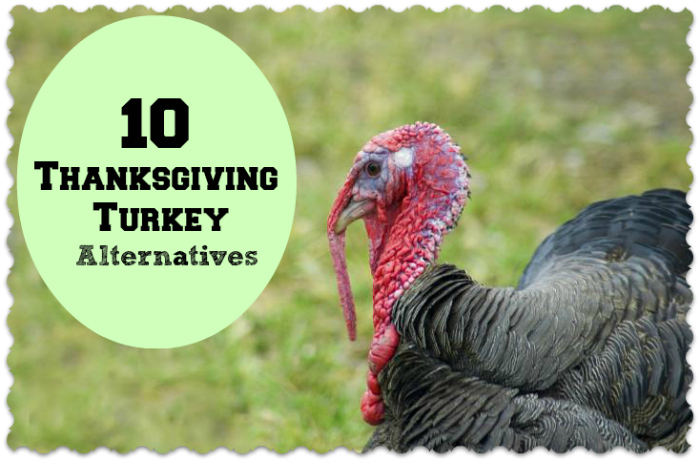 10 Thanksgiving Turkey Alternatives