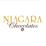 NIagara Logo square