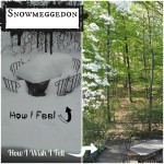 Snowmeggedon Snowzilla Snowpocalypse