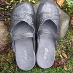 airlie Vionic orthoheel 2