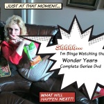 Wonder Years Complete Series DVD