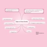 Signs of Heat Stroke