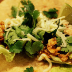Cilantro Lime Shredded Chicken Taco