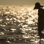 Fill in the blanks of your life Poise Impressa